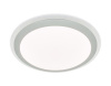 Потолочный светодиодный светильник Ambrella light Orbital Air FF49
