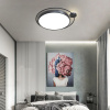 Потолочный светильник Imperium Loft Destin 140641-26