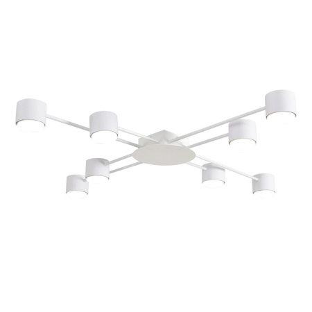 Светильник потолочный Lumion BENUA 8305/8C