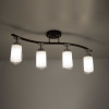 Спот Citilux Фортуна CL156142