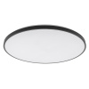 Потолочный cветильник Nowodvorski Agnes Round Led Pro Black 10975