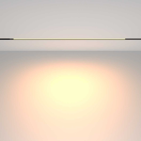 Трековый светильник Maytoni Technical EXILITY Basis TR231-2-15W3K-B