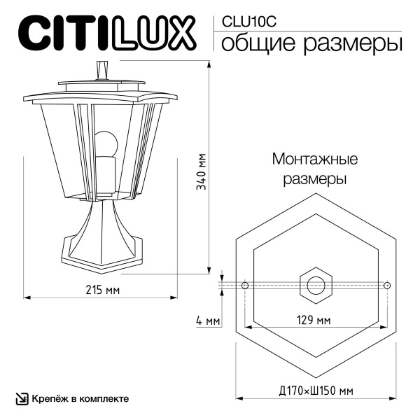 Уличный светильник Citilux Forts CLU10C