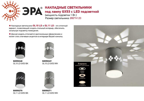 Накладной светильник ЭРА OL10 Б0050269