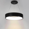 Подвесной светодиодный светильник Arlight SP-Tor-Ring-Hang-R460-33W Day4000 023392(1)