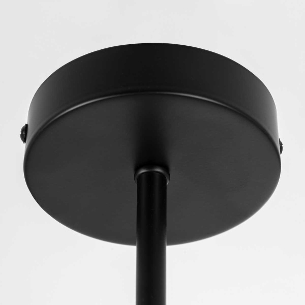 Потолочная люстра Citilux Fisher CL218163