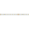 Светодиодная лента Arlight 6W/m 80LED/m 2835SMD дневной белый 50M 024524(2)