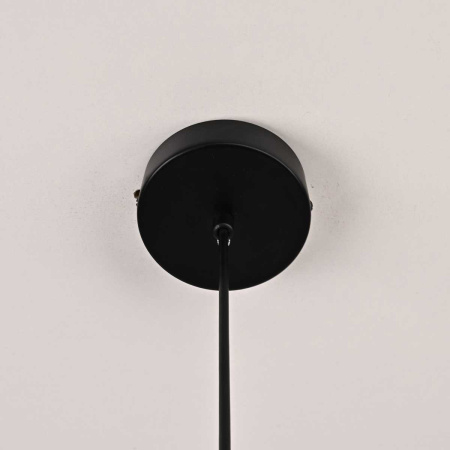 Подвесная люстра Imperium Loft RH Utilitaire Disk 123645-22