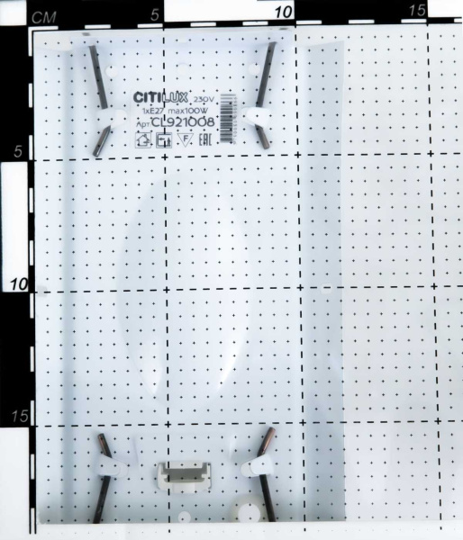 Настенный светильник Citilux Осень CL921008