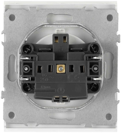 Розетка ЭРА Arktik 16-2101-01 с заземлением 2P+E Schuko 16А-250В белый Б0070414