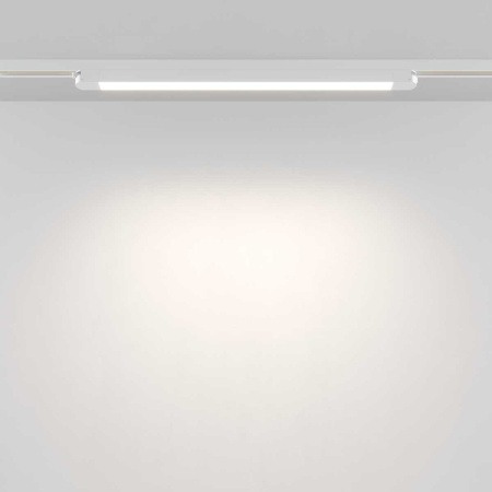 Трековый светильник Maytoni Technical TR000-1-24W4K-W_1