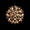 Подвесной светильник Loft IT Taraxacum 10470/800
