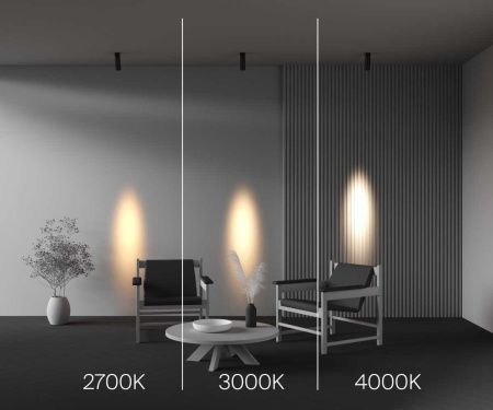 Потолочный светильник Maytoni Technical C055CL-L12W2.7K-SS-B