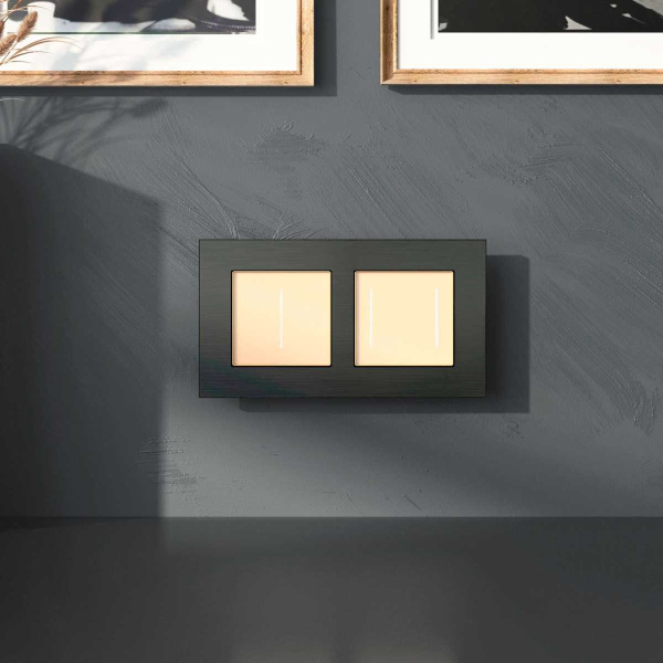 Рамка Werkel AluMax на 2 поста черный алюминий W0023508 4690389204043