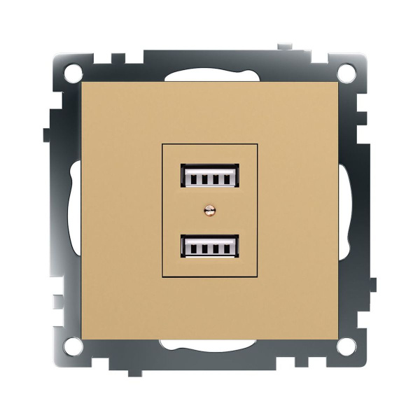 Розетка 2хUSB Stekker Катрин золото GLS10-7115-08 49229