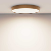 Потолочный светодиодный светильник Maytoni Zon C032CL-90W4K-RD-MG