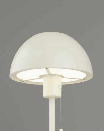Лампа настольная Moderli Aspen V11321-1T