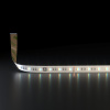Светодиодная лента Elektrostandard 24W/m 60LED/m 5050SMD MIX RGB/дневной белый 5M a053702