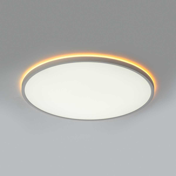 Потолочный светильник Citilux NORMA CL749500