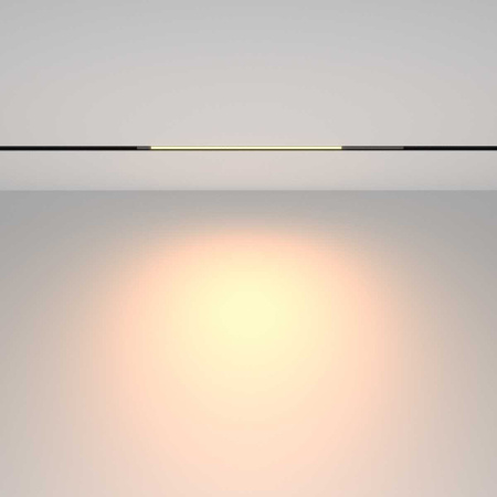 Трековый светильник Maytoni Technical TR231-2-10W3K-B