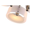 Потолочная люстра Evoluce Foresta SL483.352.03