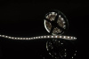 Светодиодная лента SWG 14,4W/m  60Led/m 5050SMD холодный белый 5M SWG560-12-14.4-UW-М 009263