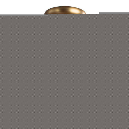 Потолочный светильник Arte Lamp Schelenberg A4410PL-1SR