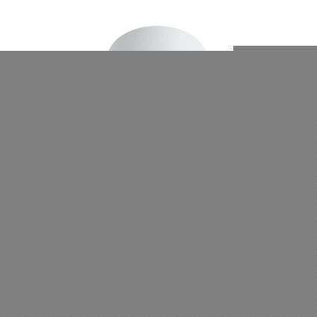 Потолочный светильник Arte Lamp Ogma A5556PL-1WH