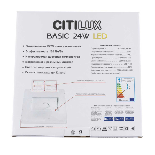 Светильник накладной Citilux Бейсик CL738K242V