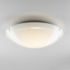 Настенный светильник Citilux Лайн CL918081