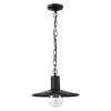Уличный подвесной светильник Odeon Light Nature Furcadia 4833/1