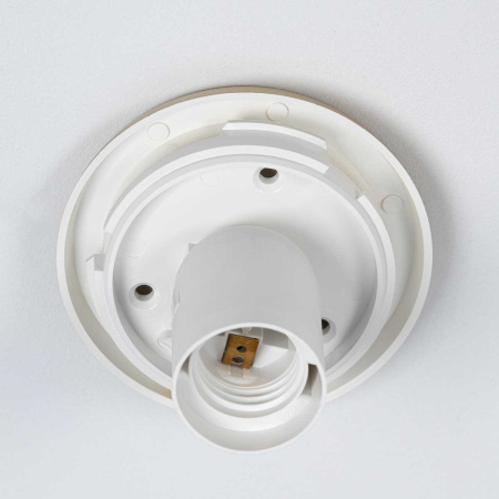 Светильник потолочный Citilux RON CL941D25B2