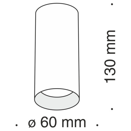 Потолочный светильник Maytoni Technical Focus C010CL-01G