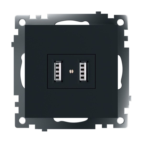 Розетка 2хUSB Stekker Катрин черный GLS10-7115-05 39616
