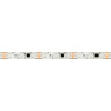 Светодиодная лента Arlight 12W/m 60LED/m 5060SMD разноцветный 5М SPI-SE-B60-10mm 12V 039597