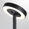 Ландшафтный светильник Odeon Light Disc Nature 7189/6GL