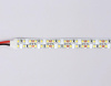 Светодиодная лента Ambrella Light 19,2W/m 240LED/m 2835SMD дневной белый 5M GS1602