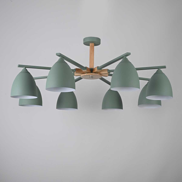 Потолочная люстра Imperium Loft Noa 8 Mint 183468-26