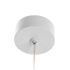 Подвесной светильник Citilux Hardy CL002P10