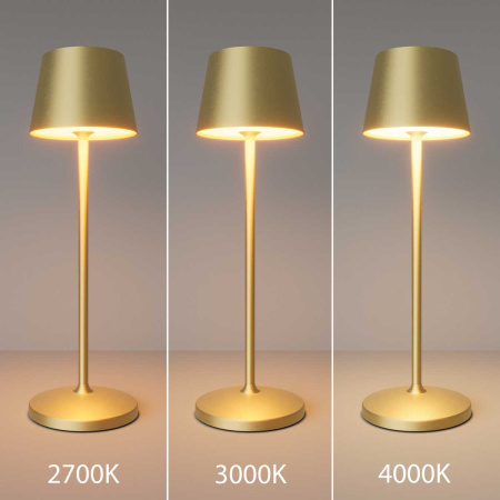 Настольная аккумуляторная лампа Maytoni Modern Nook MOD494RL-L1BSK
