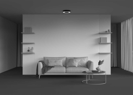 Потолочный светильник Maytoni Technical C093CL-24W4K-B
