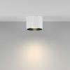 Потолочный светильник Maytoni Technical Ceiling Calipso C106CL-GX53-W