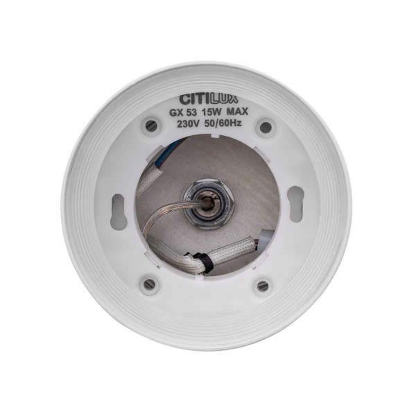 Подвесной светильник Citilux Hardy CL002P10