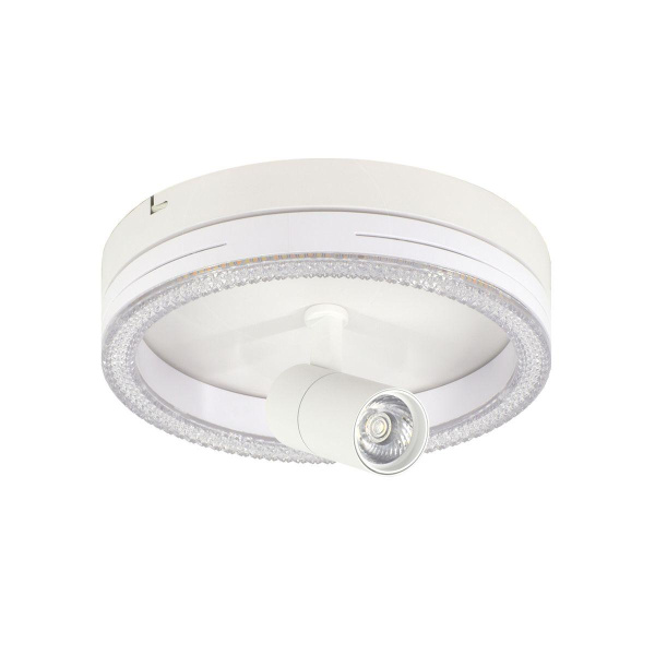 Потолочный светодиодный светильник Escada 20044SMA/02LED WH Потолочный светодиодный светильник Escada 20044SMA/02LED WH