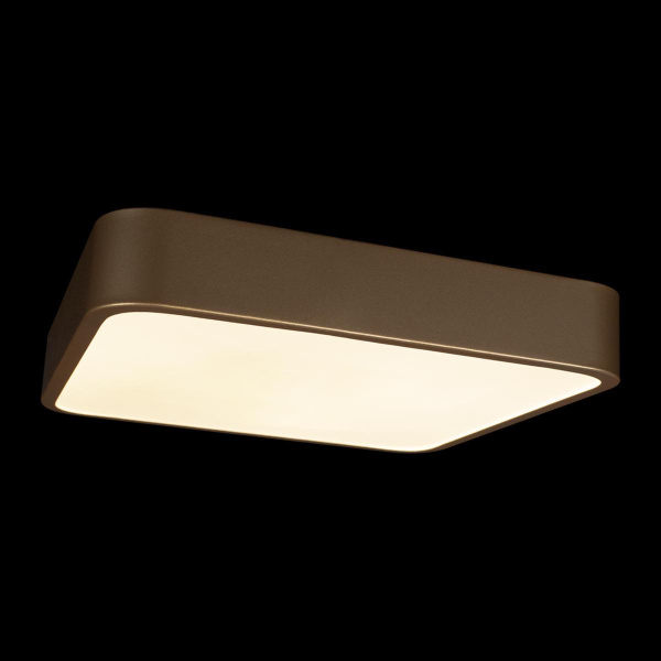 Потолочный светодиодный светильник Loft IT Flims 10228/C Потолочный светодиодный светильник Loft IT Flims 10228/C