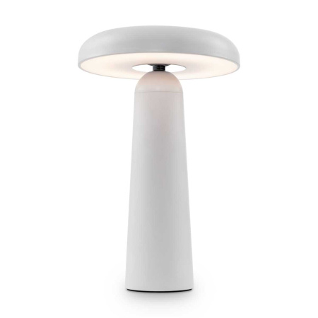 Настольная аккумуляторная лампа Freya LED Mushroom FR6109TL-L4W