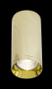 Потолочный светильник Maytoni Technical Focus C010CL-01G