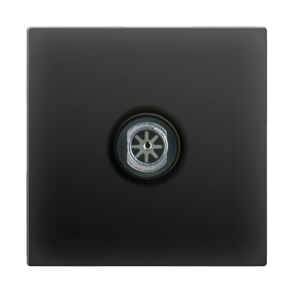 ТВ-розетка оконечная Werkel черный матовый W1183008 4690389157028