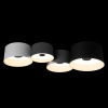 Потолочный светодиодный светильник Loft IT Duo 10360/4