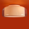 Потолочный светильник Freya Classic Riflesso FR2055CL-03CH
